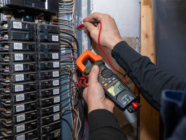 Best Home Electrical Repair  in Iselin, NJ